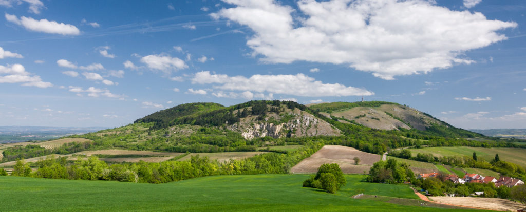 NATURE TRAILS AND A GREAT NUMBER OF WALKING TRAILS