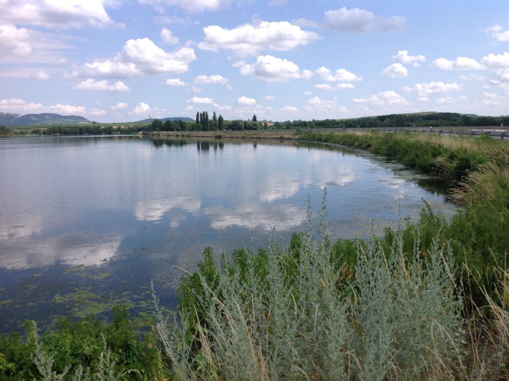 Dolní Mušovský luh (Lower Mušov Floodplain)